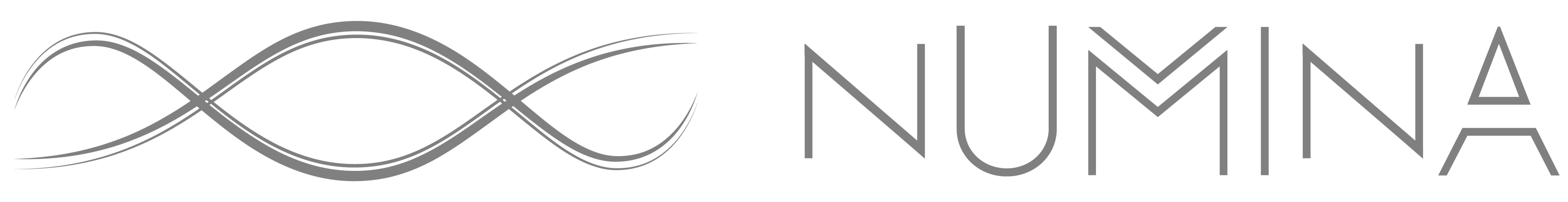 Logo Numina